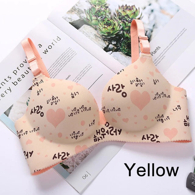 Combo Of 6 Bra & panties Sets imported